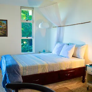 https://moonlight-beach-studio-montego-bay-club.greaterantilleshotels.net